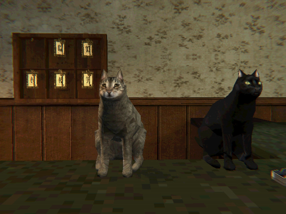 Two cats sitting on the front desk in front of the key rack: Finn, a grey tabby, looking at the camera, and Kuro, a black cat, looking at something out of frame